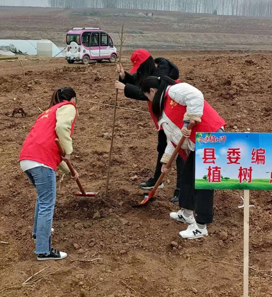 QQ圖片20210318175421.png